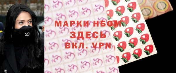 гидра Коряжма