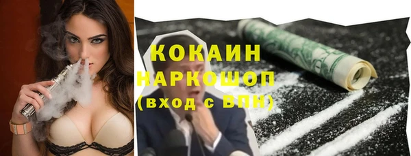 гидра Коряжма