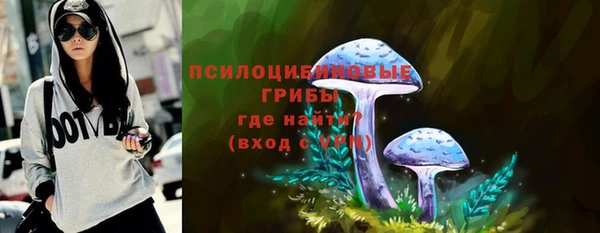 ALPHA PVP Корсаков