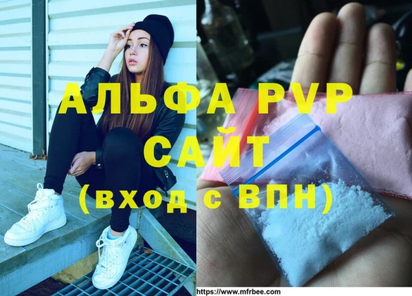 гидра Коряжма