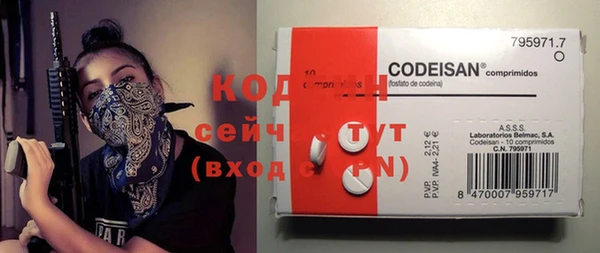дживик Костерёво