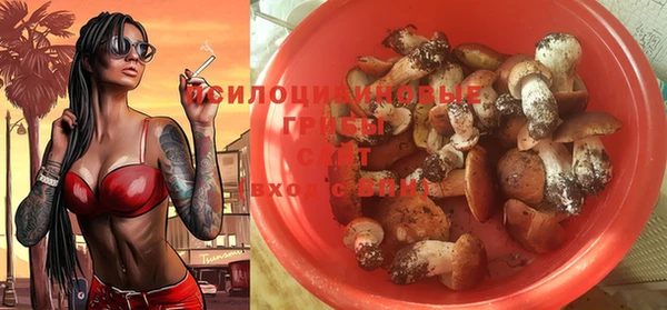 ALPHA PVP Корсаков