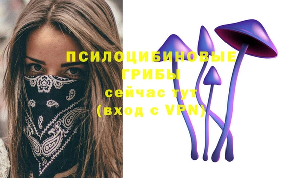гидра Коряжма