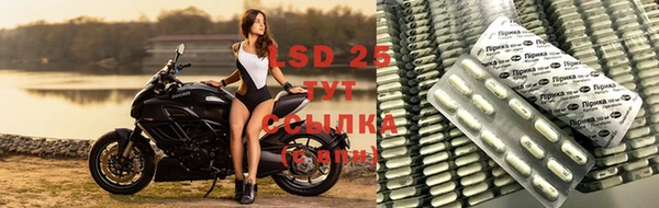 ALPHA PVP Корсаков