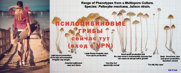 ALPHA PVP Корсаков