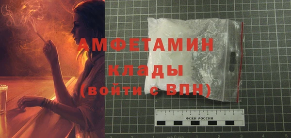 гидра Коряжма