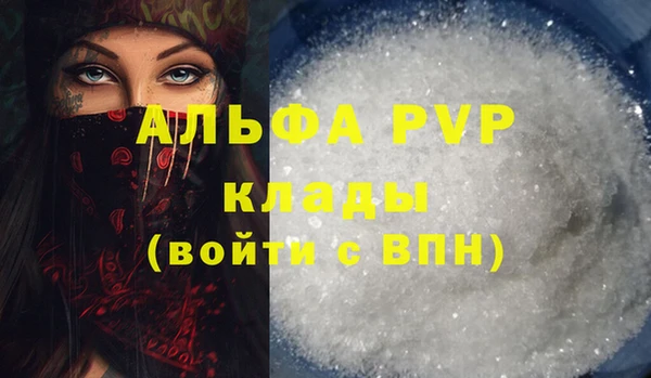 гидра Коряжма