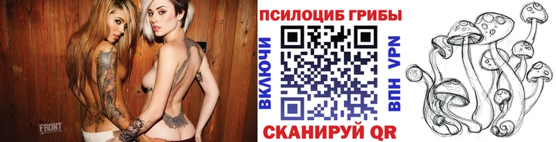Галлюциногенные грибы Psilocybine cubensis  Купить  Дербент 